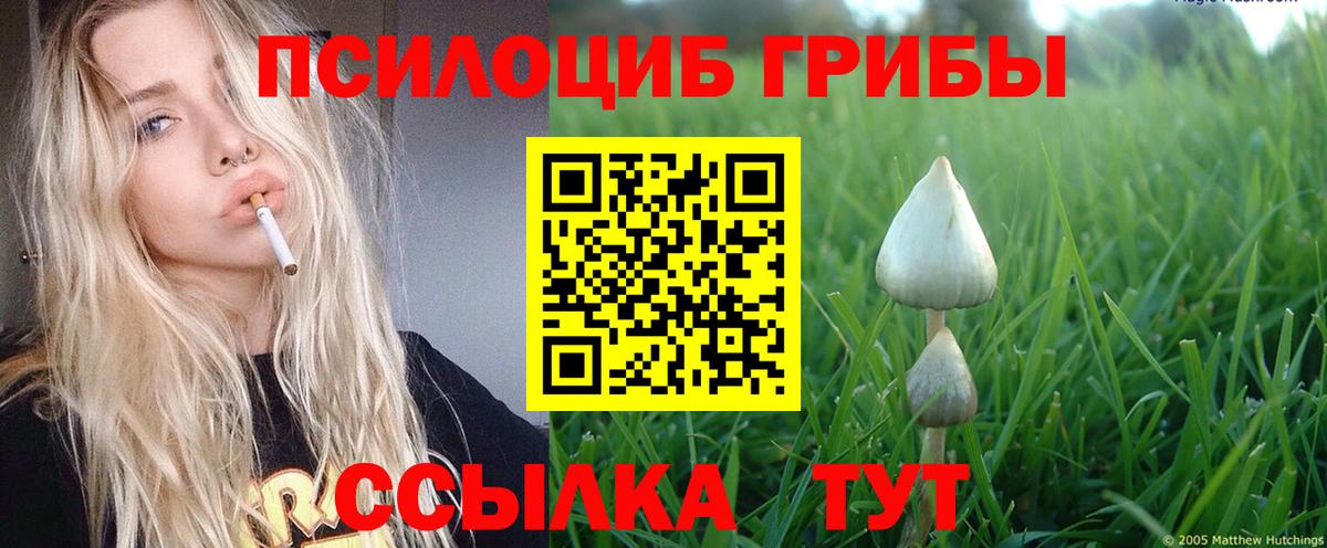 Ликино-Дулёво  Псилоцибиновые грибы мицелий  Вход с VPN 